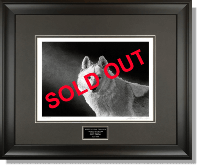 WHITE WOLF OF THOMPSON - Wildlife art pencil wolf art drawing by Owen Garratt framed