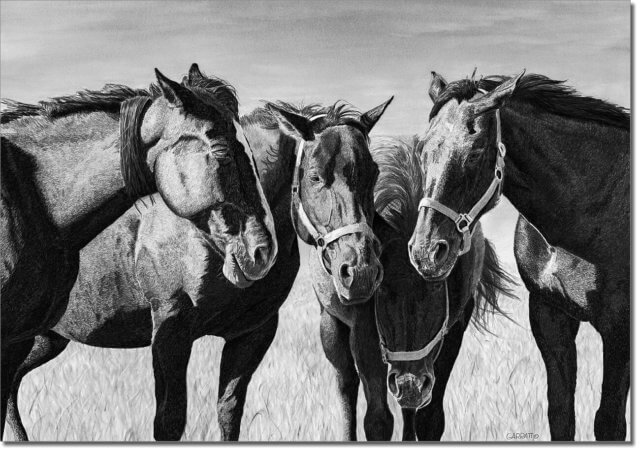 THE HUDDLE - horse drawing by Owen Garratt unframed