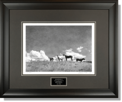 SENTINELS - horse print art Farm art pencil drawing by Owen Garratt framed