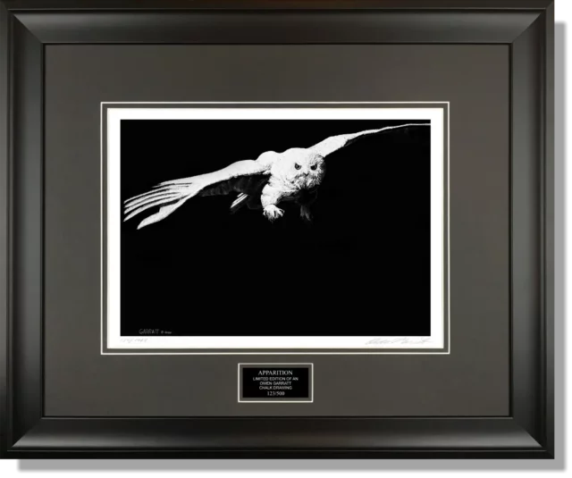 APPARITION - Wildlife art chalk art snowy owl drawing by Owen Garratt framed