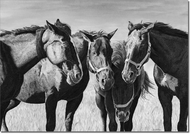 THE HUDDLE - horse drawing by Owen Garratt unframed